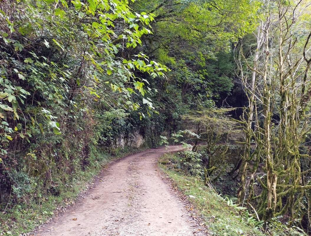 Дороги Абхазии...