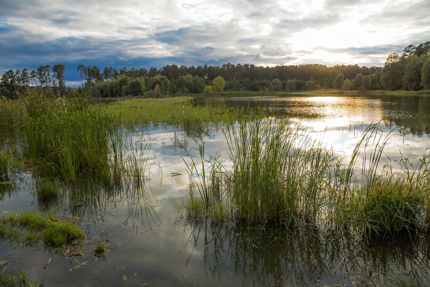 Сентябрьский вечер