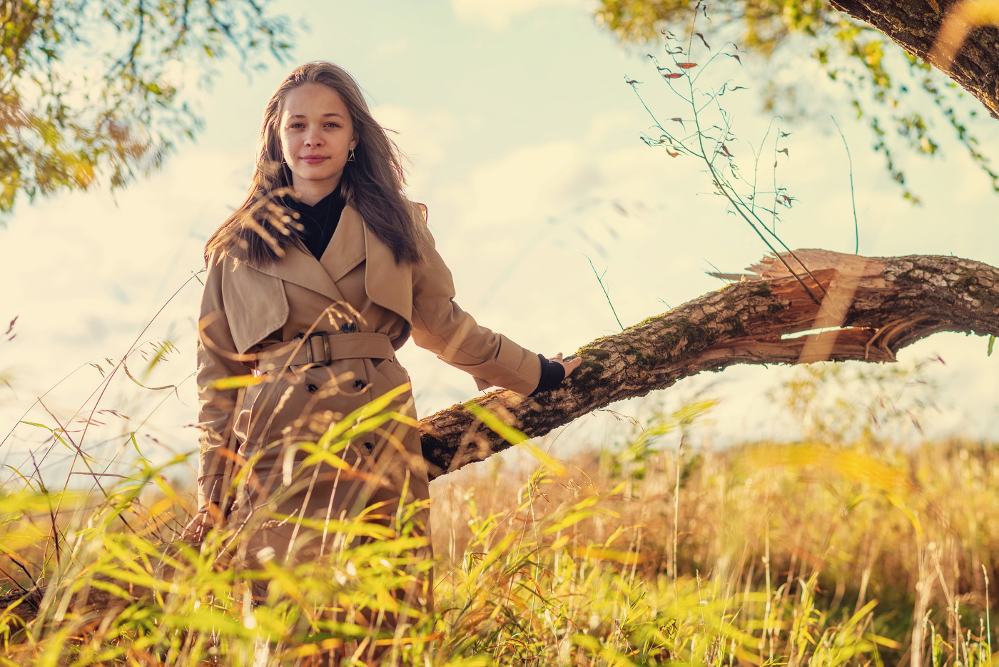 Аспекты вдохновения