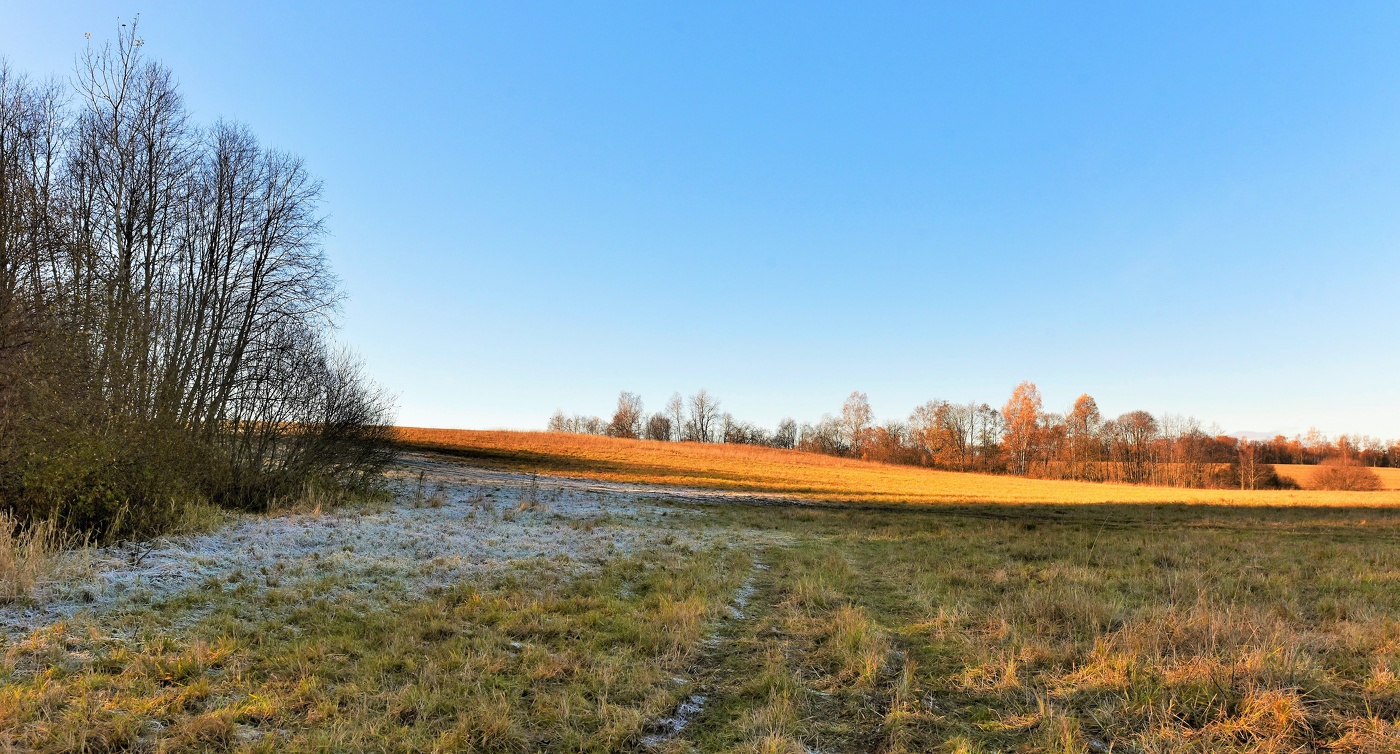 "И заморозки робкие с утра, как вестники метаморфоз в природе..."
