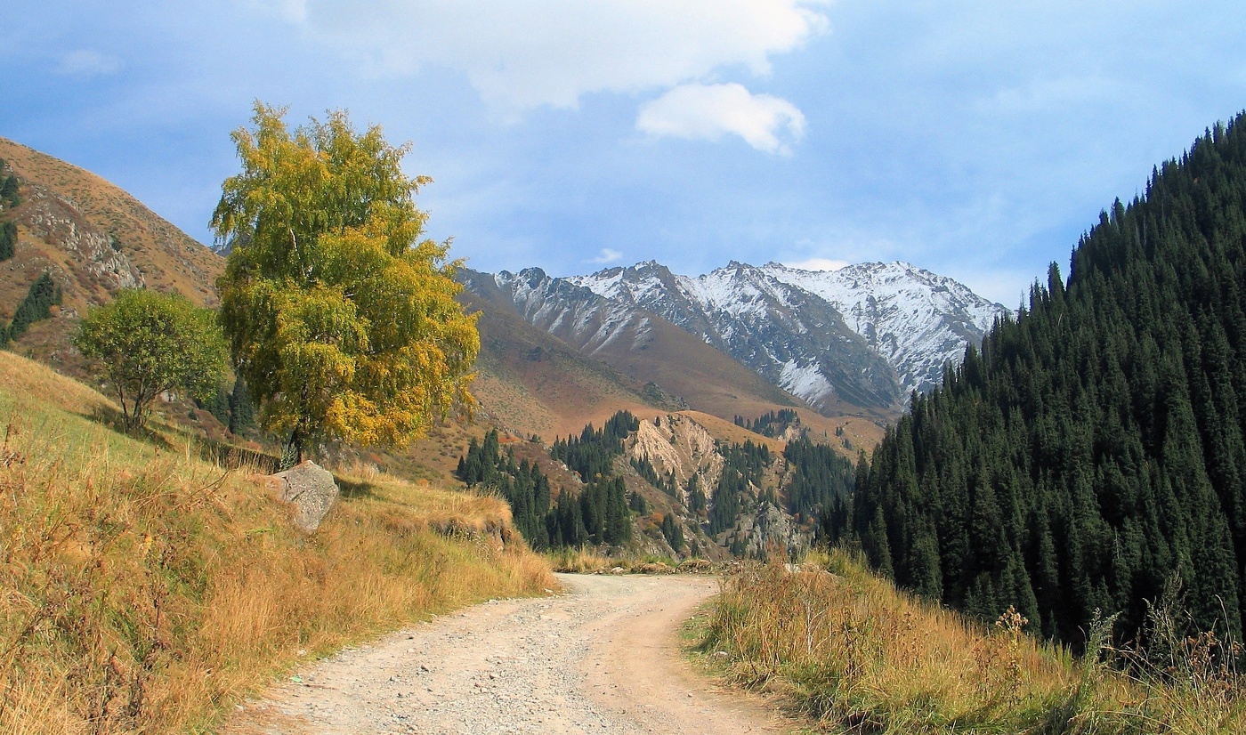 Осень из архива