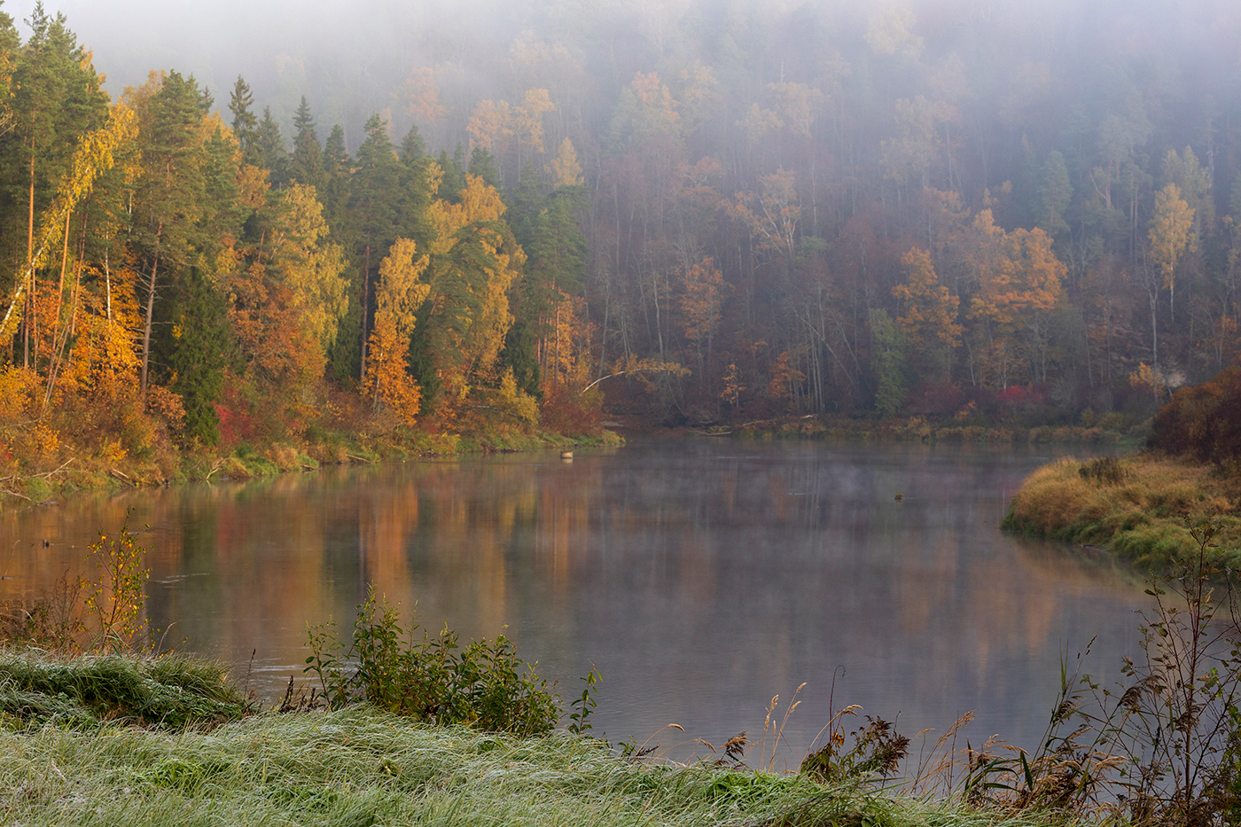 Первый иней