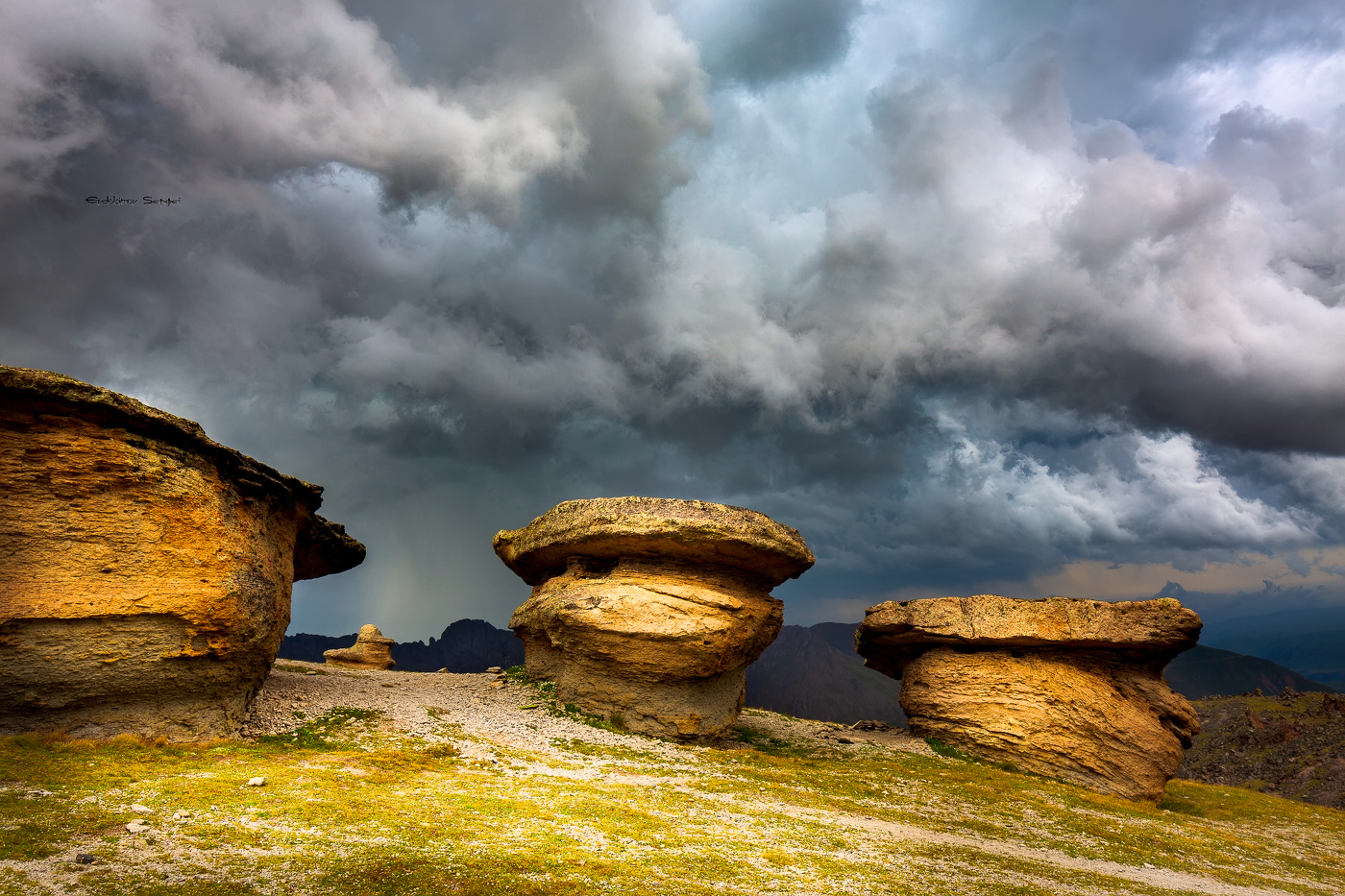 Грибное место