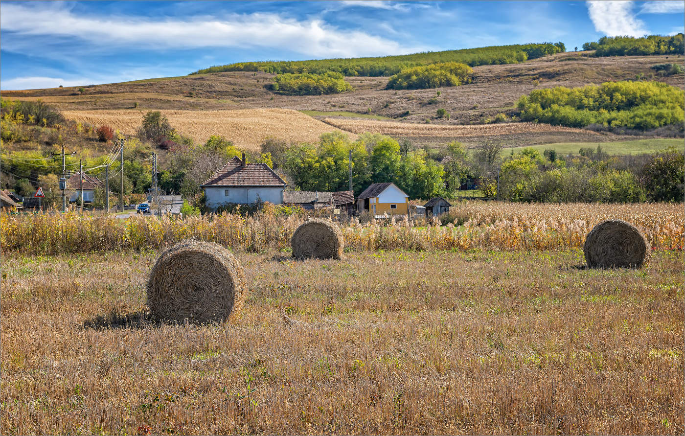 Осень в румынских Карпатах (14)