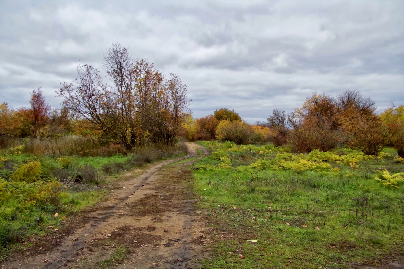 Осень , хмурая погода
