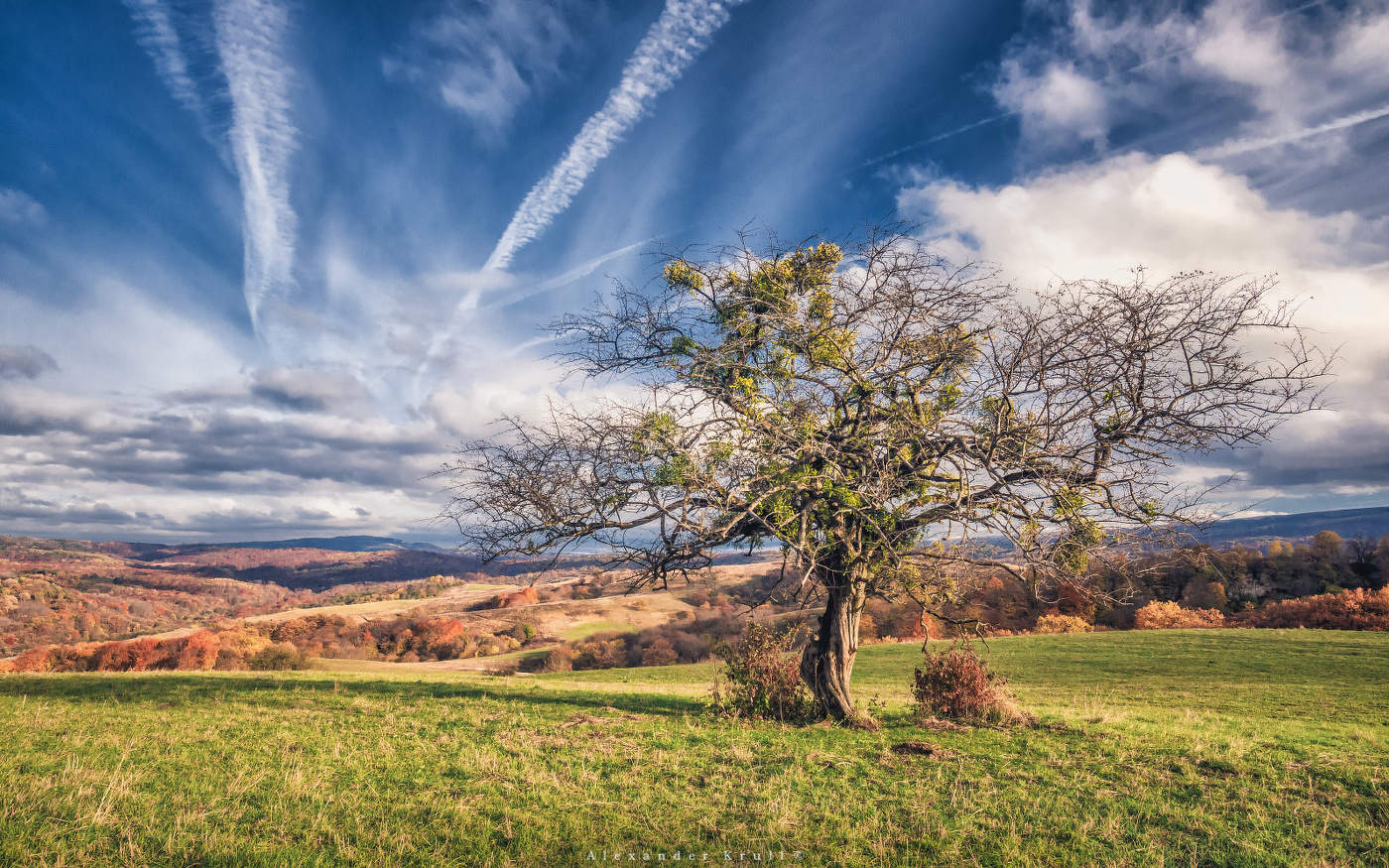 Раскинулась осень широко...