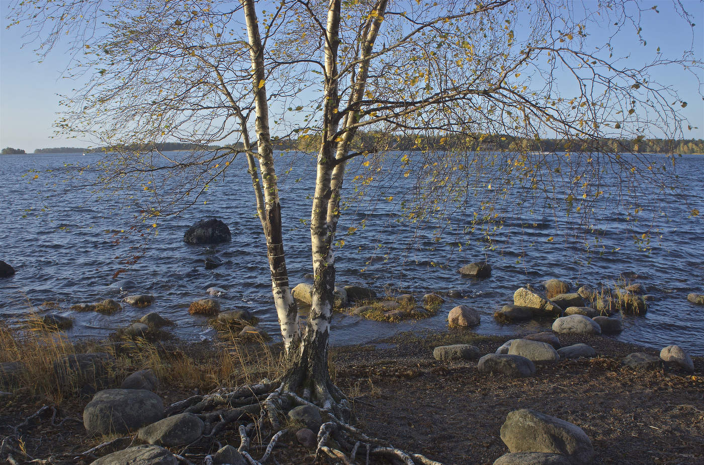 «У осени особенная грусть…»