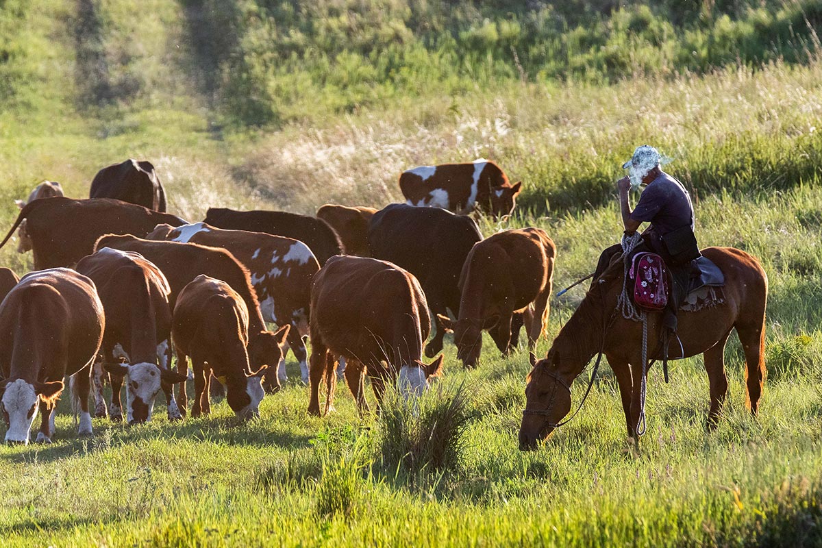 Перекур без отрыва от работы