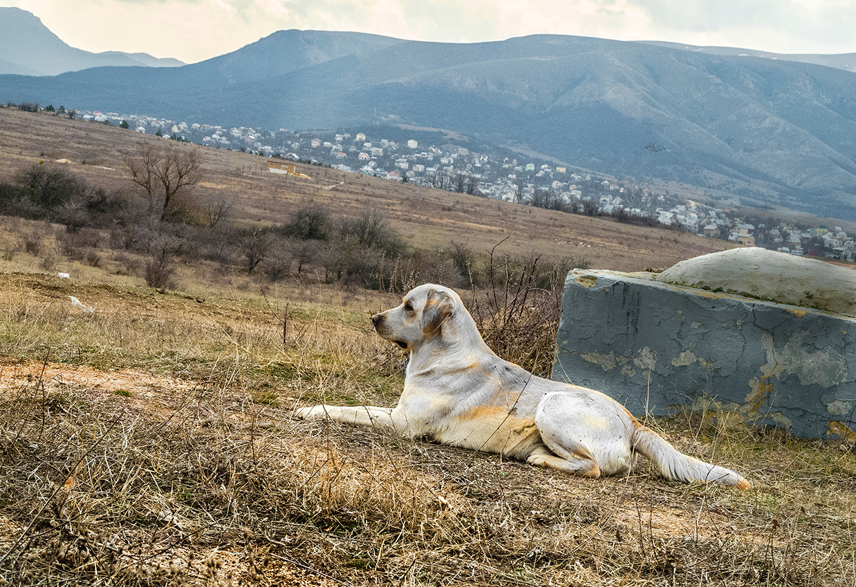 Сфинкс у постамента
