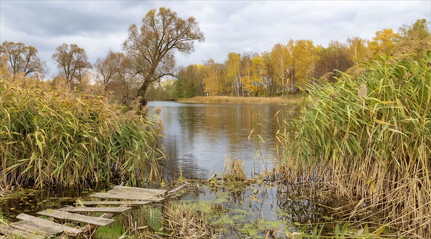 Померкла природа,Октябрь на исходе...