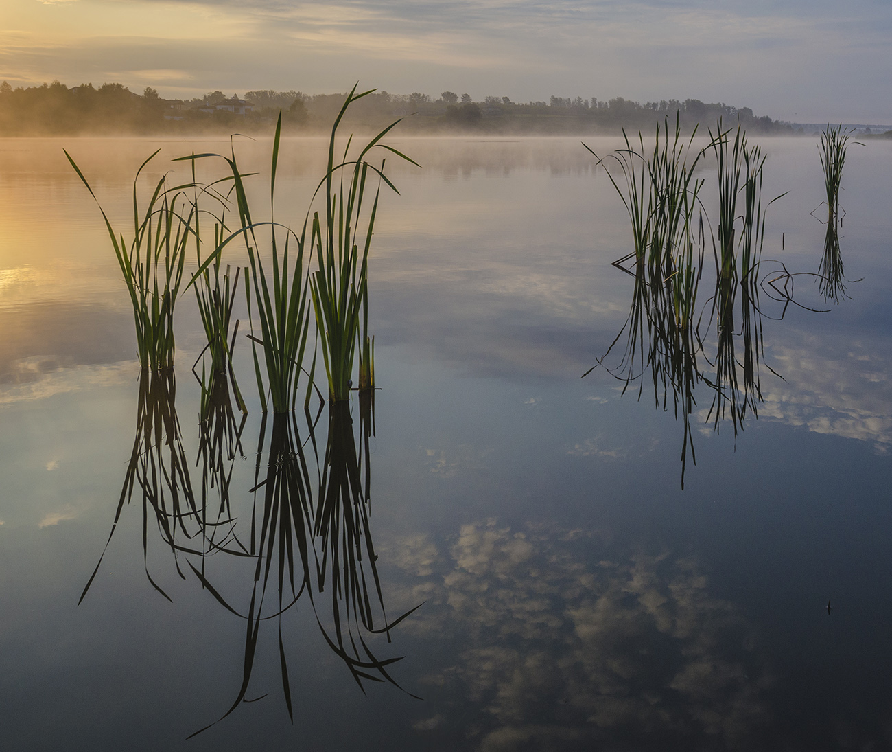 Отражения и ритмы