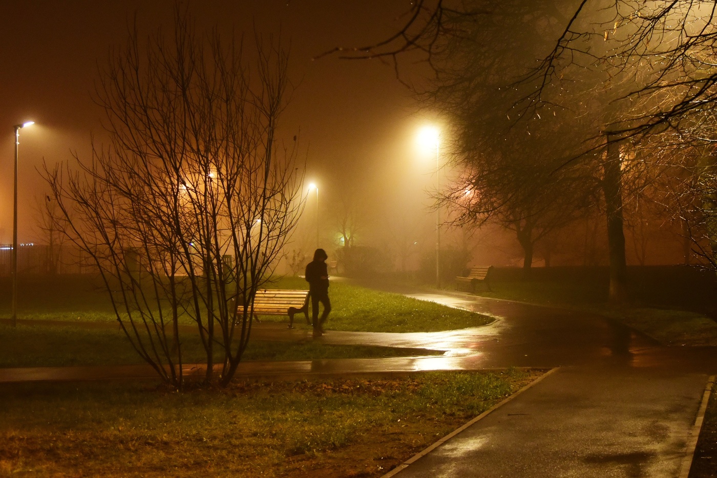 "Ночь, тишина, лишь случайный прохожий ..."