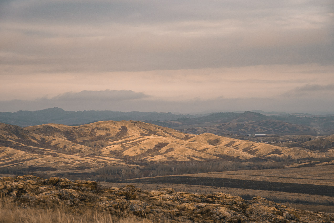 Золотая сопка