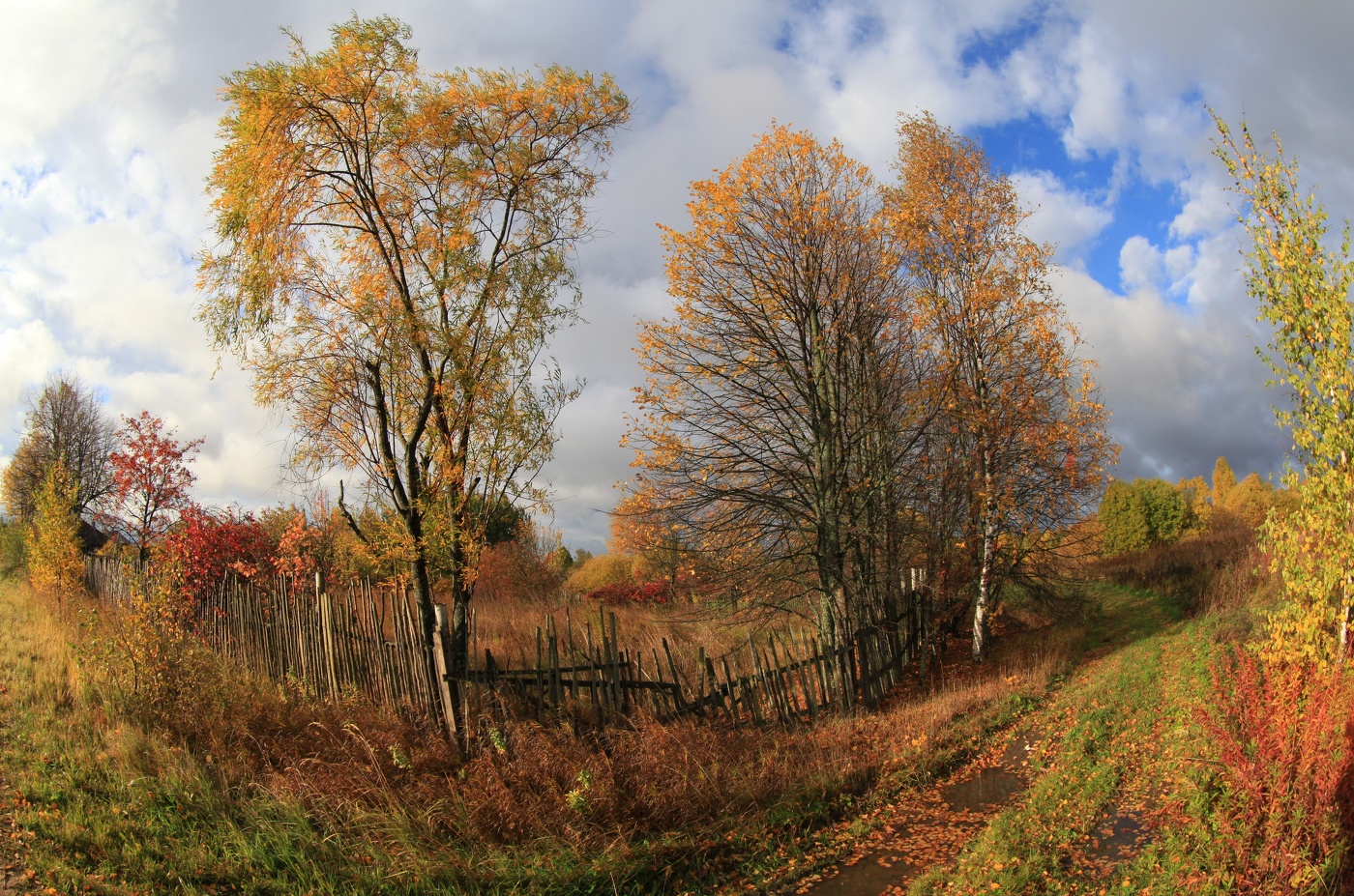Осень в деревне