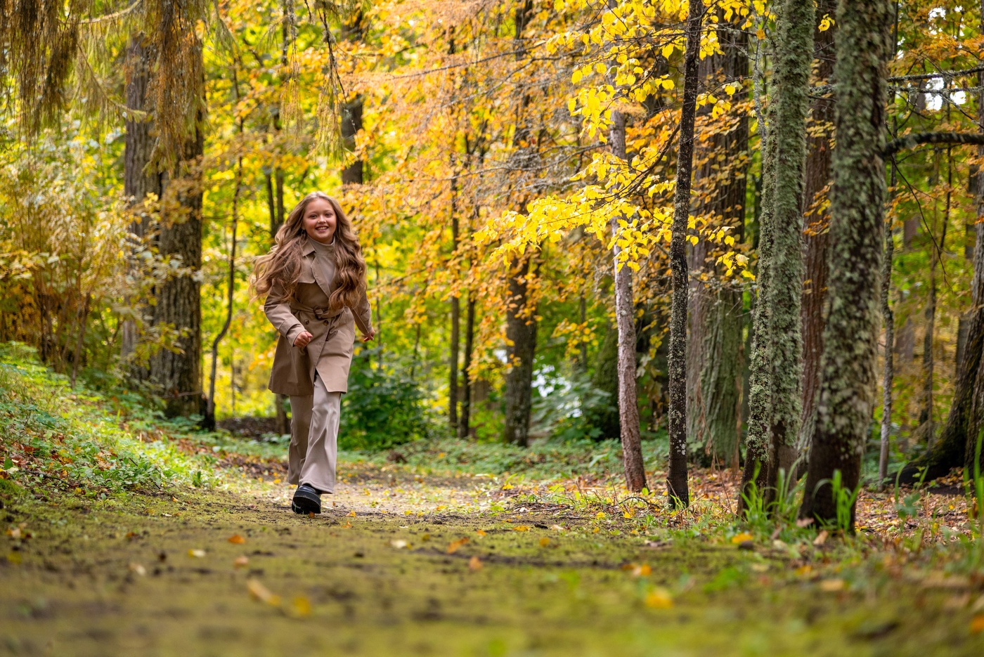 Дворянские аллеи