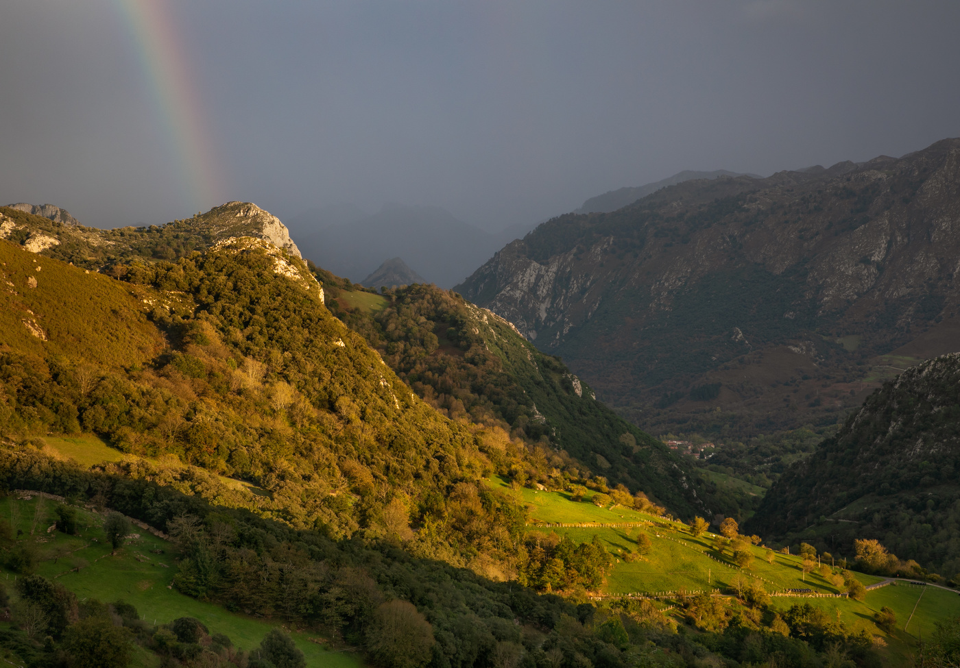 Перед грозой