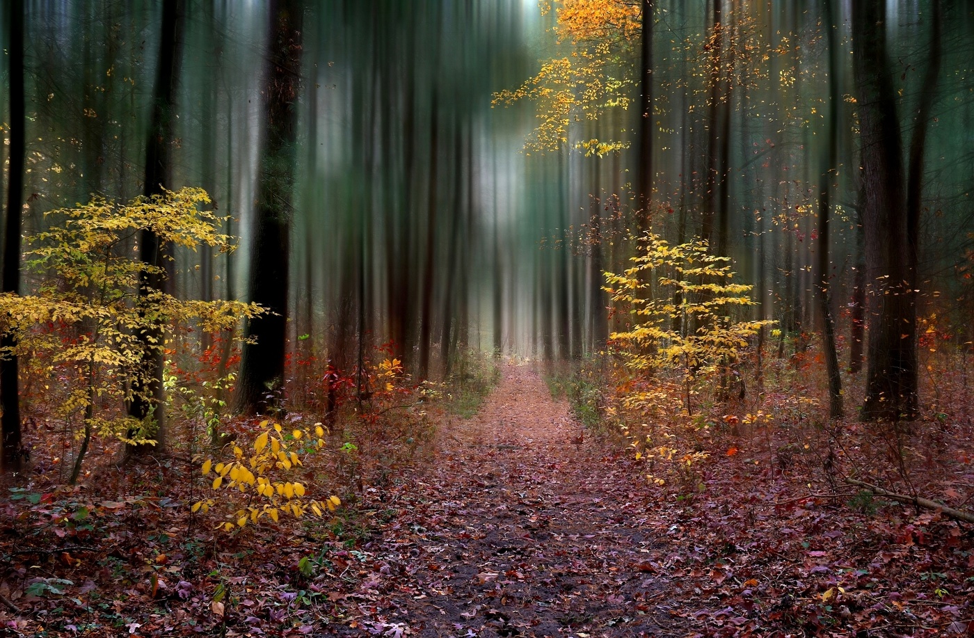 Очарование осени