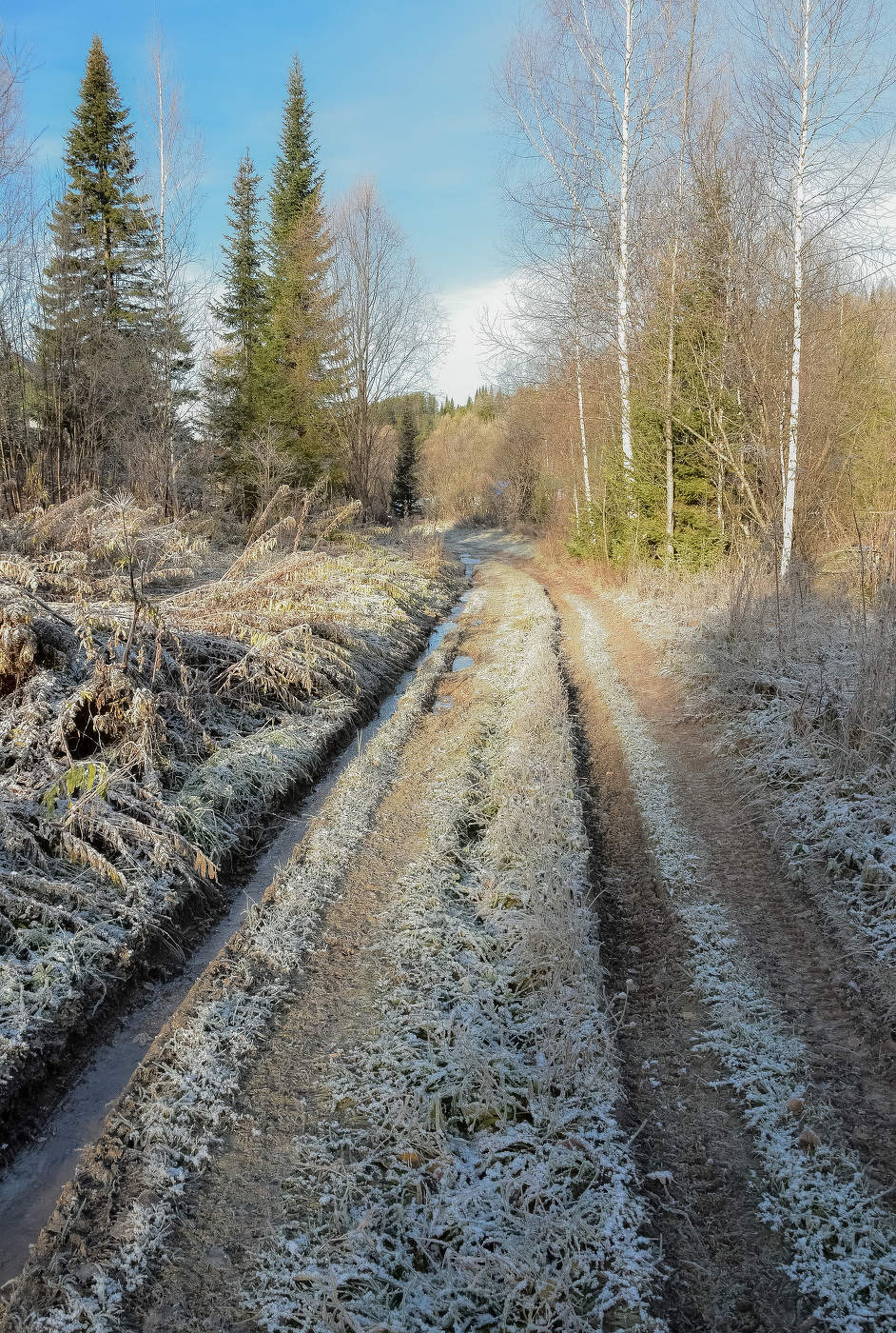 Заморозки осенью