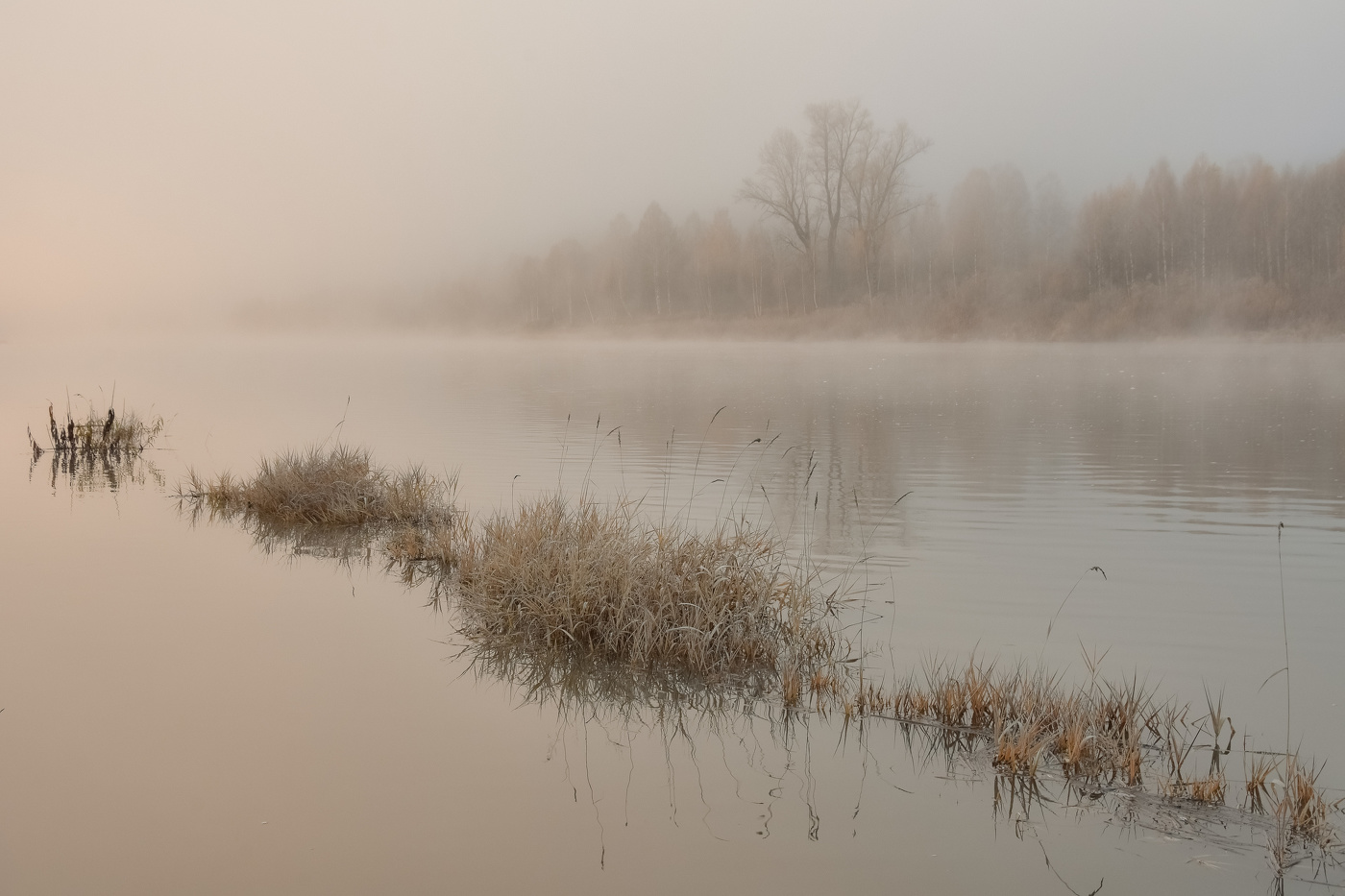 Туманное утро на Кондоме