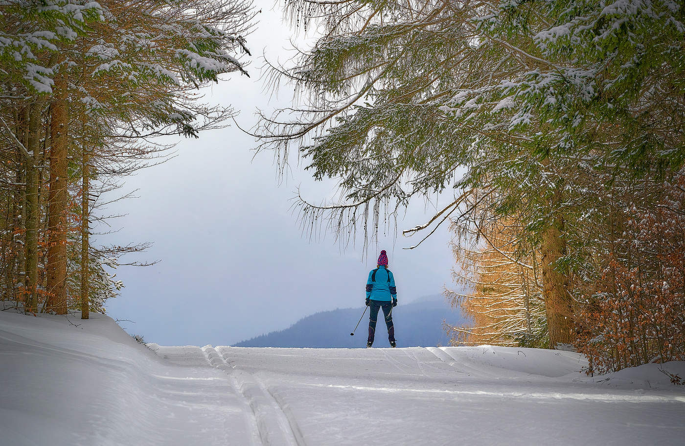 Зимние каникулы...