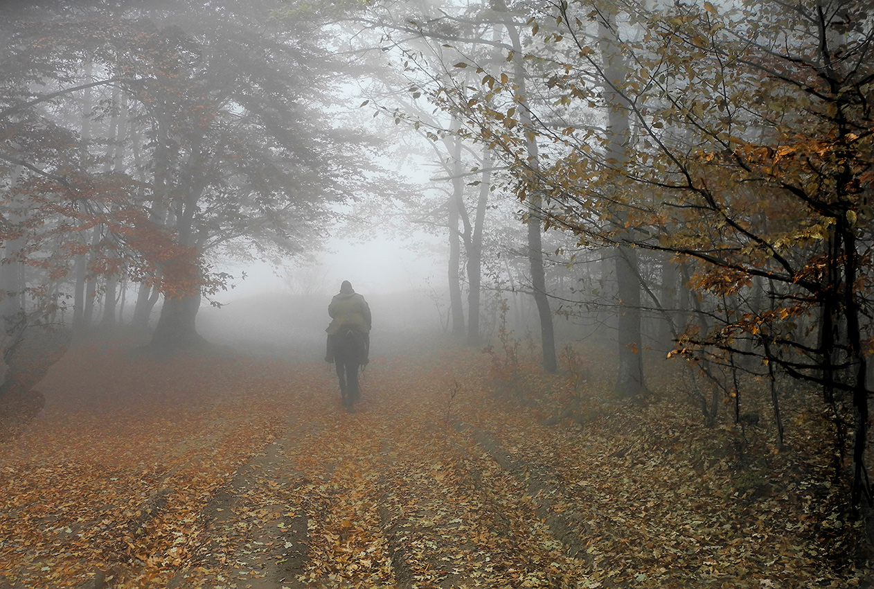 Зарисовки Ноября