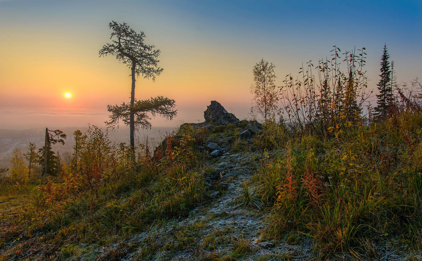 Первые заморозки