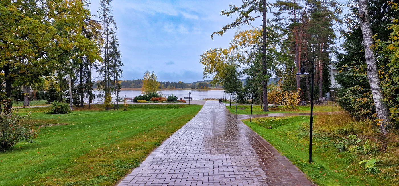 После дождя