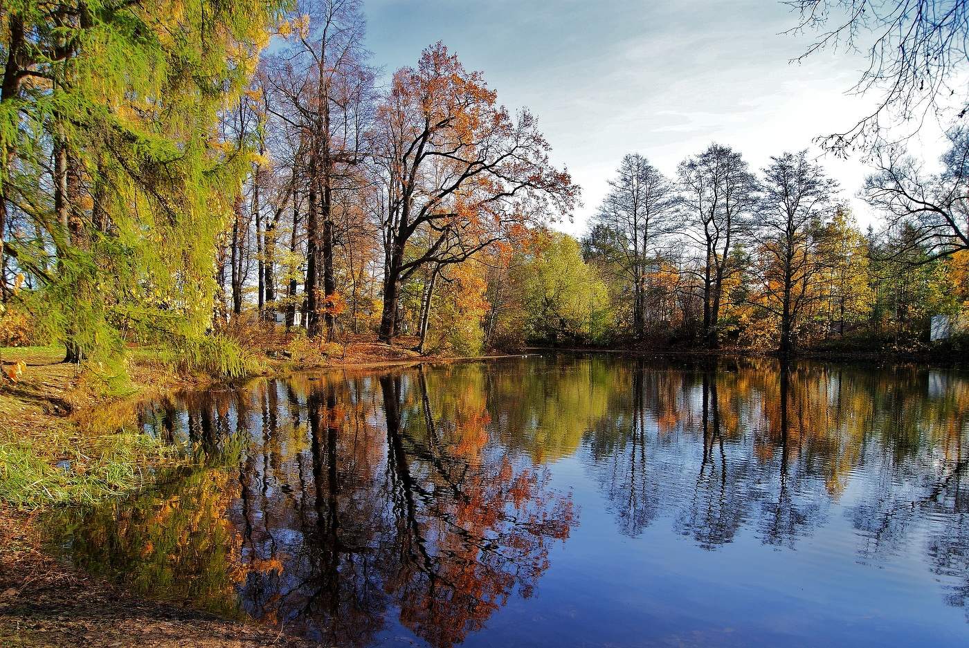 Осени краски