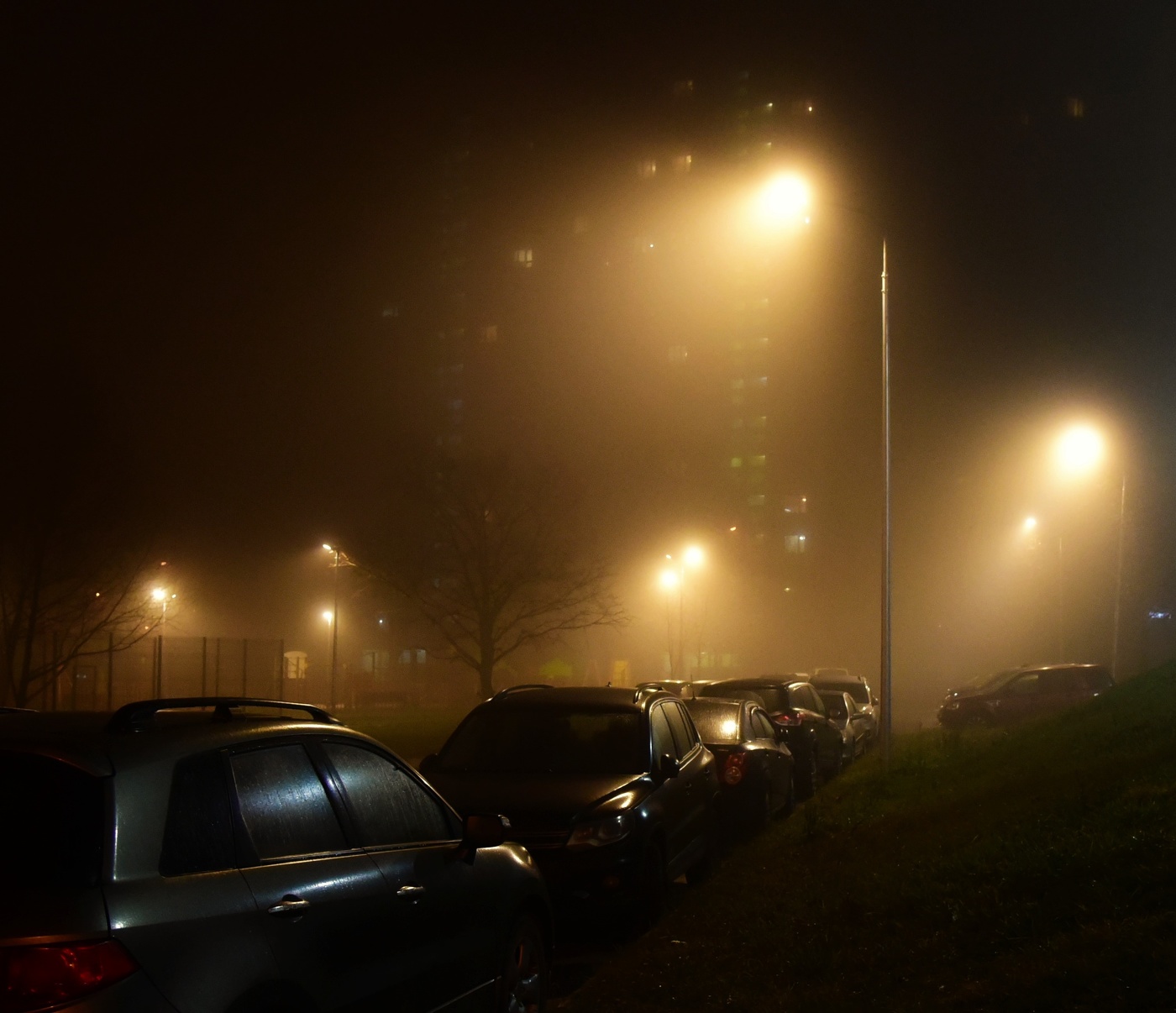 "Ночь фонарями расставила стражу ..."