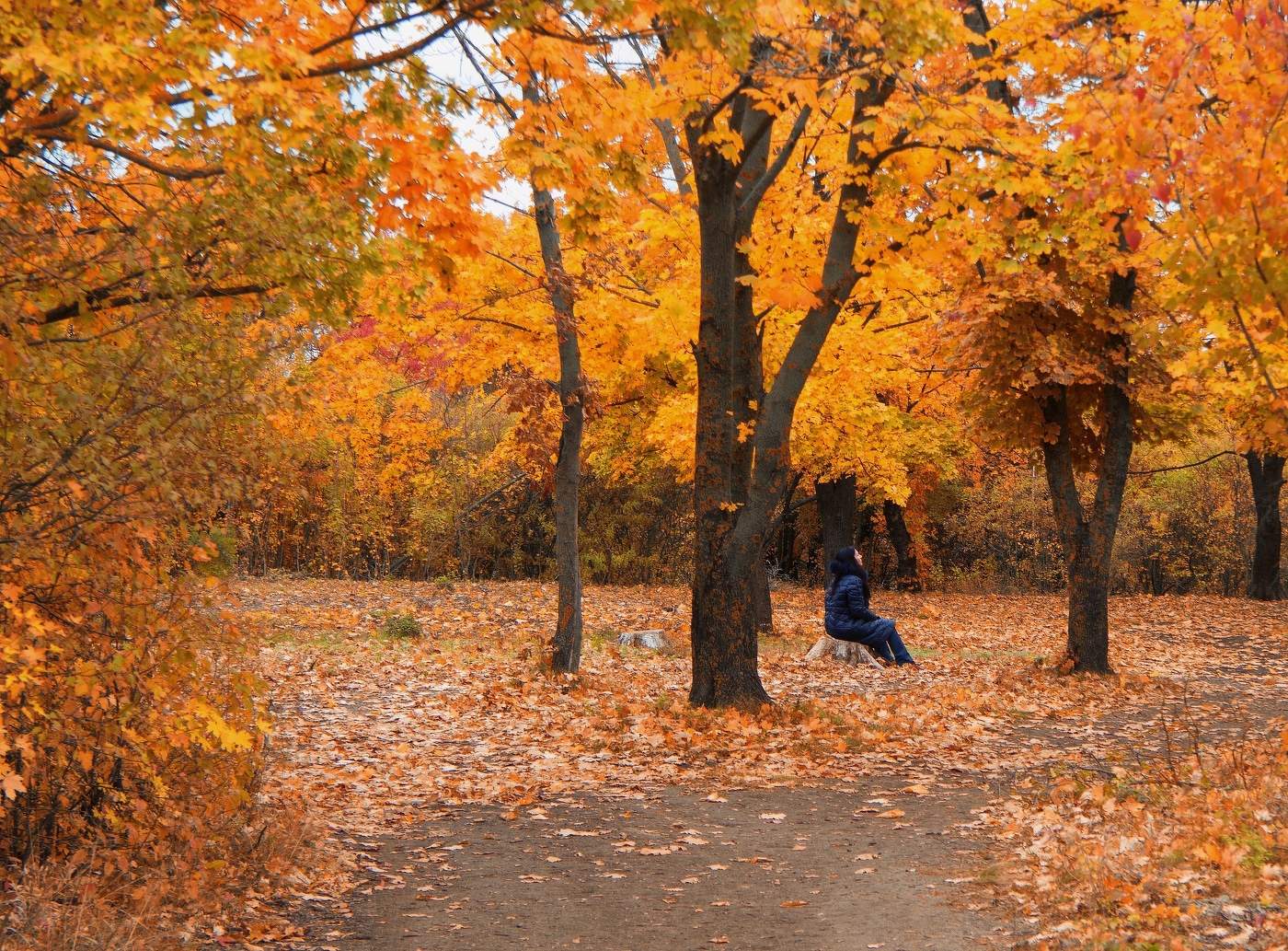 Любоваться