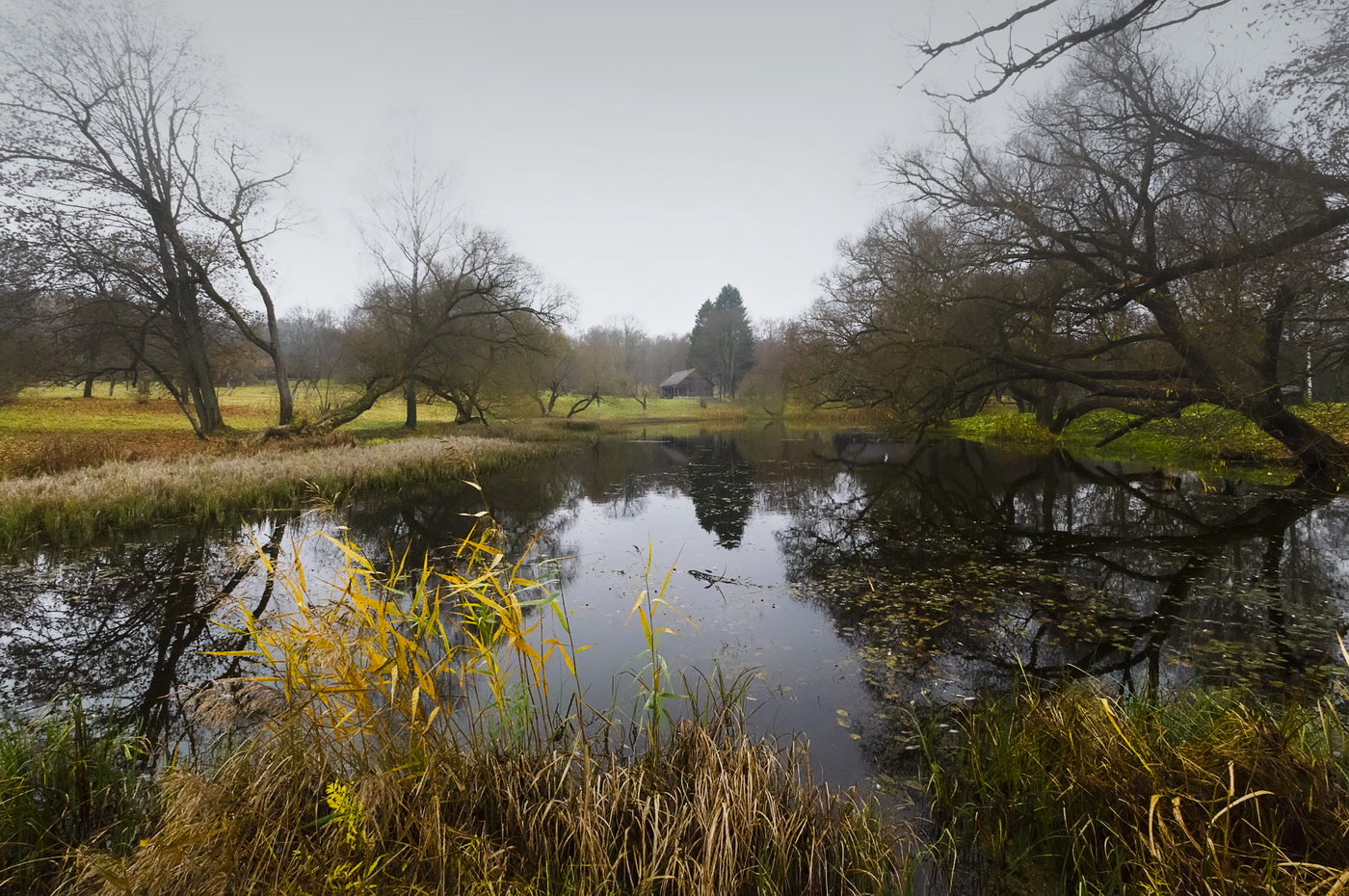 Скоро заморозки