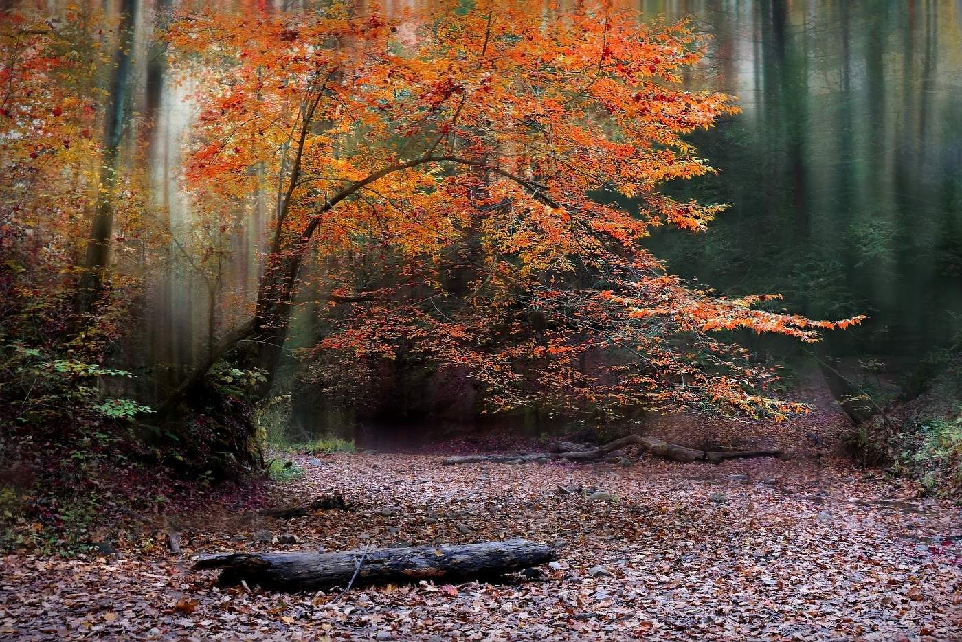 Осень золотая