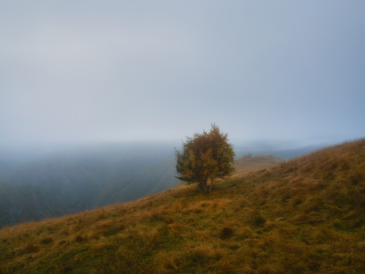 Осенний минимализм. Туманное раннее утро в Кабардино-Балкарии.