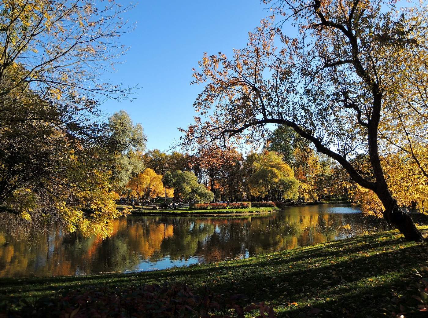 буйство красок