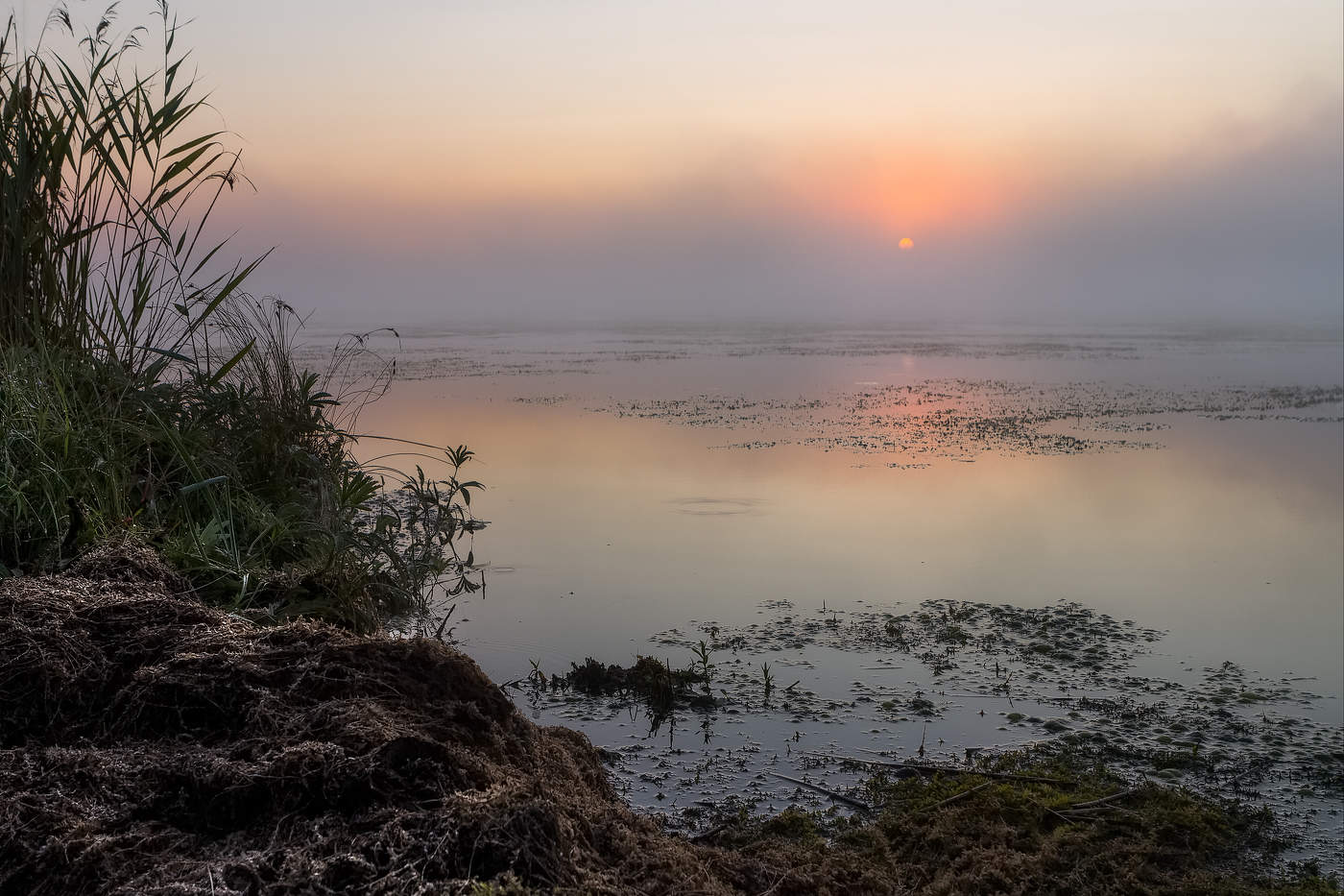 С первыми лучами
