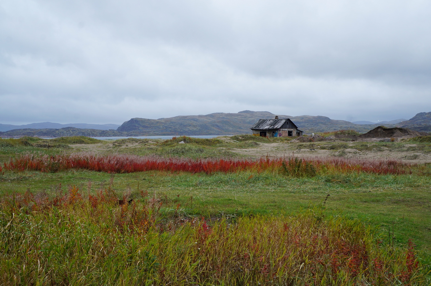 Невечная печаль