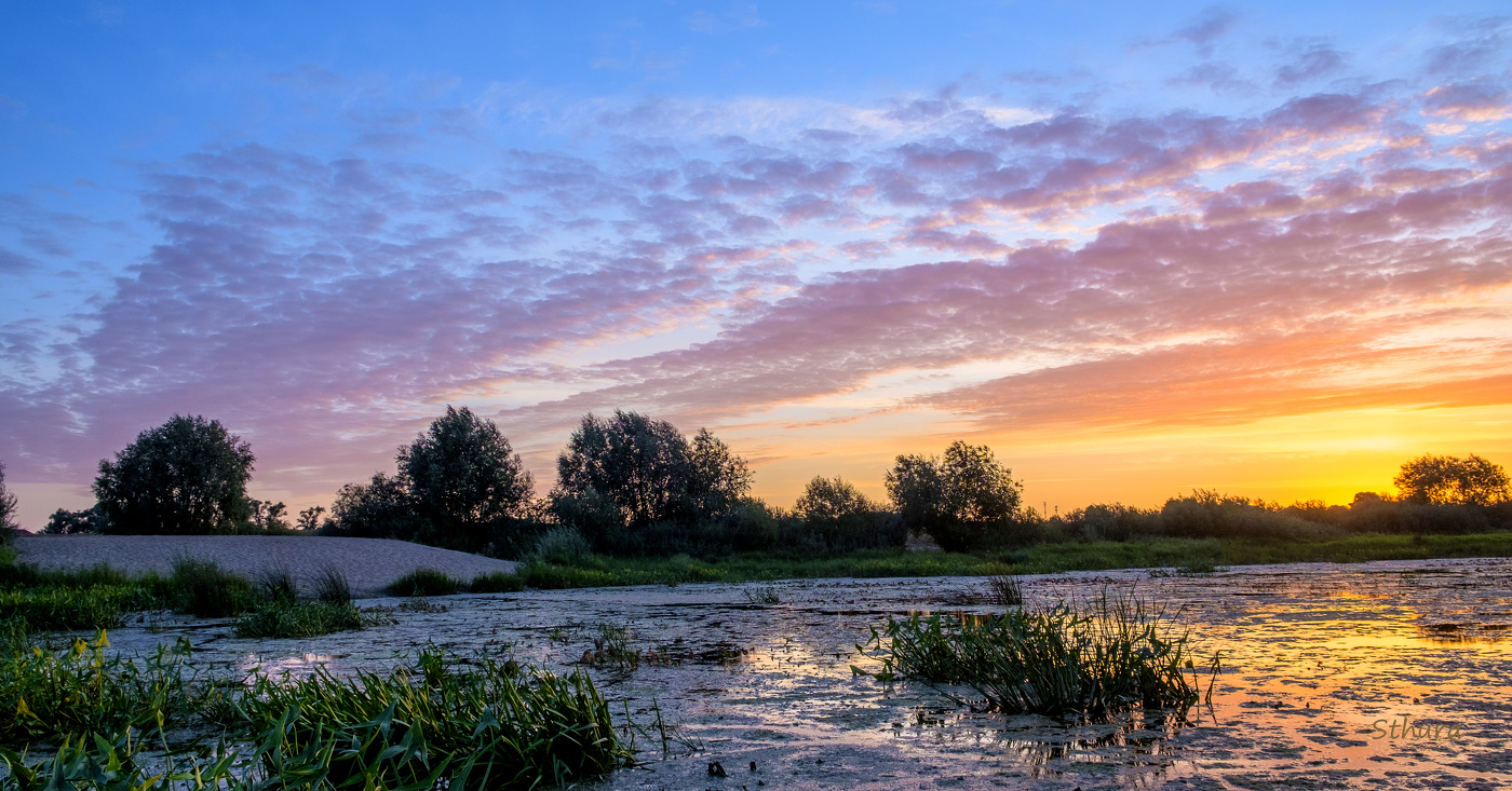 Лето. Рассвет.