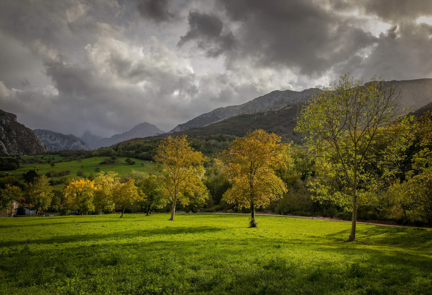 Вечерний свет