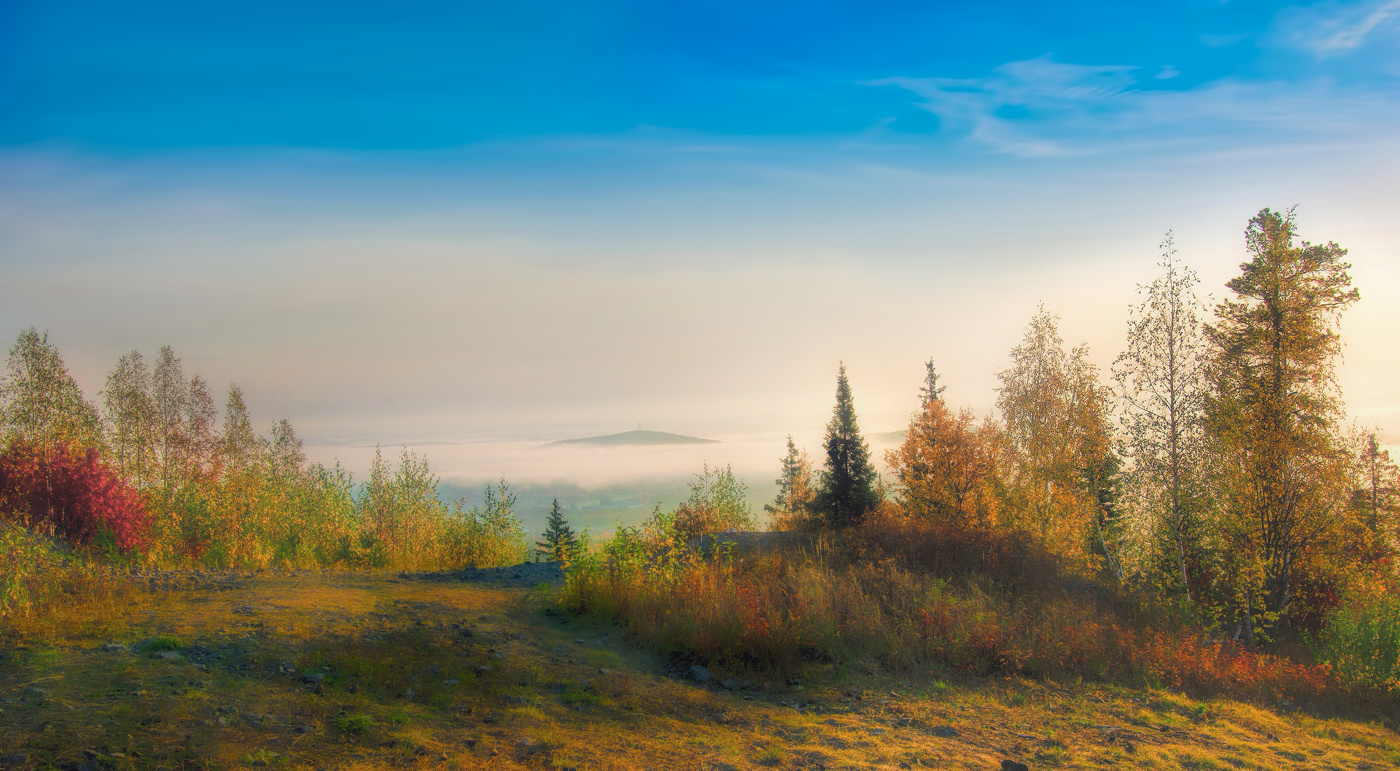 Солнечное утро