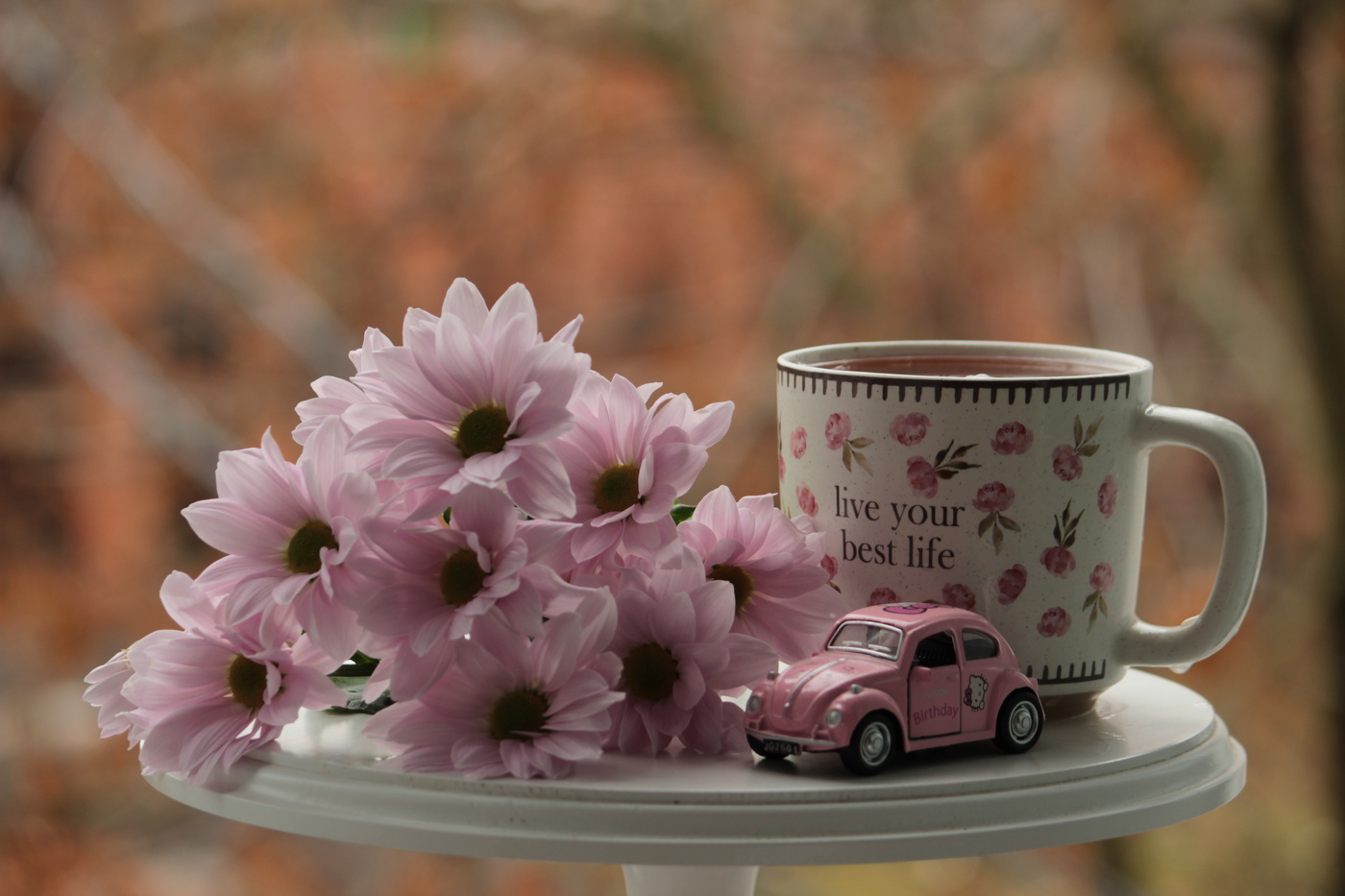 На фоне осени