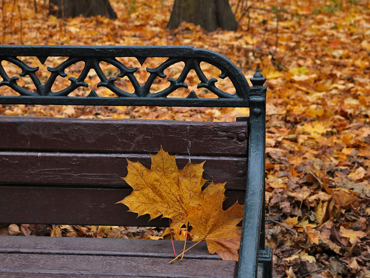 Осенний этюд