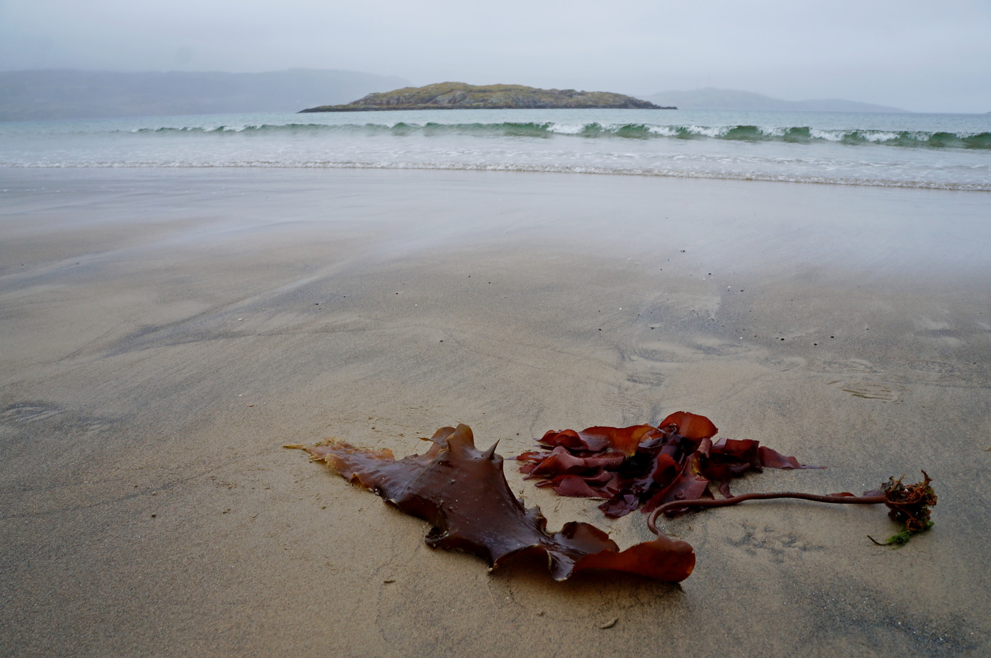 Изоморфизм