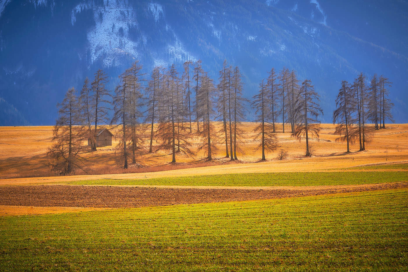 Времена Года