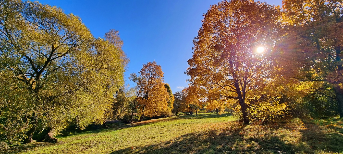 Бабье лето...