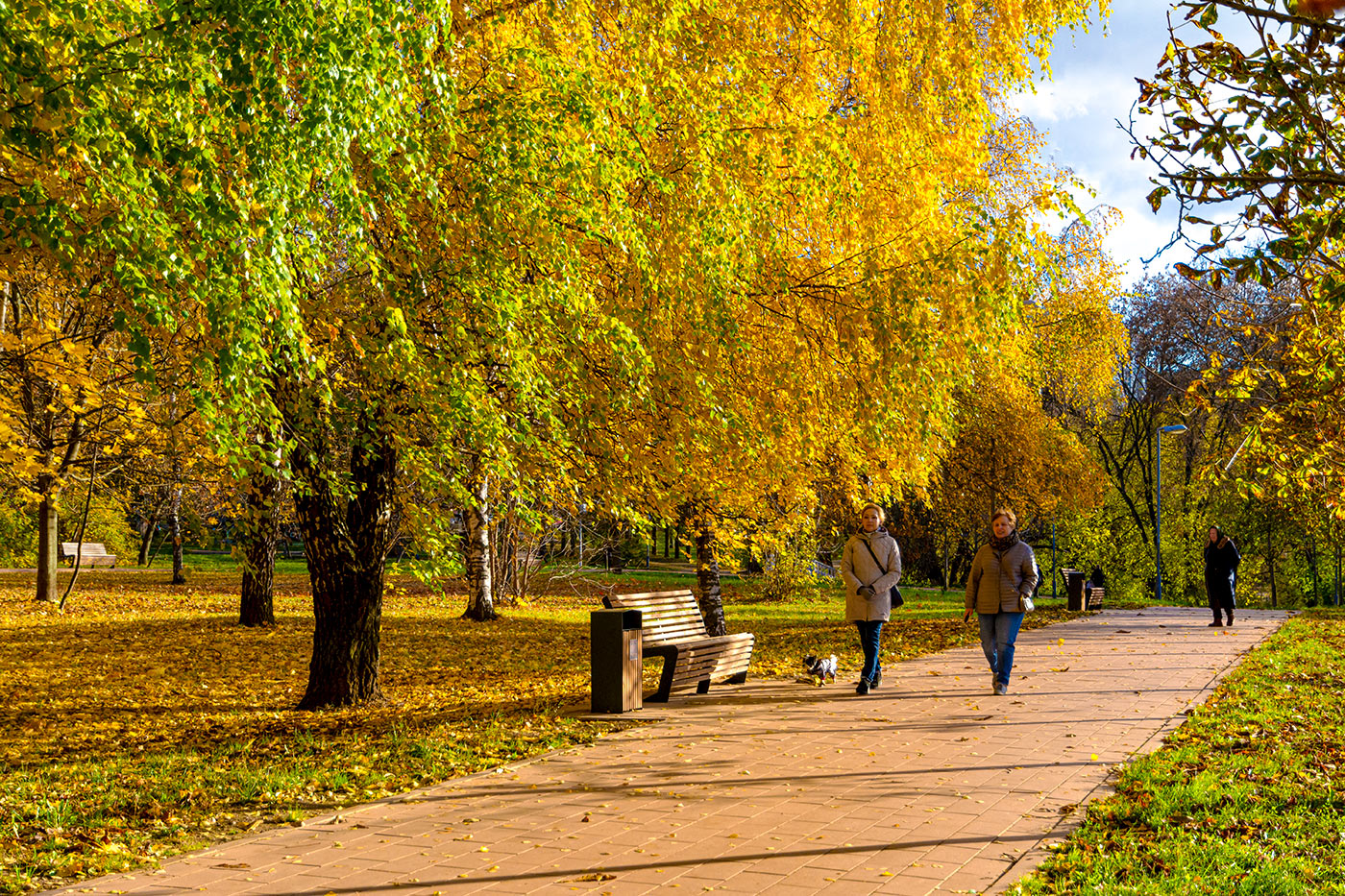 буйство осени