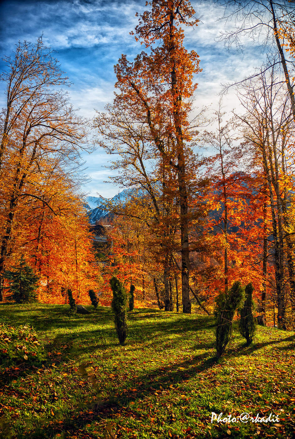 Краски осени.