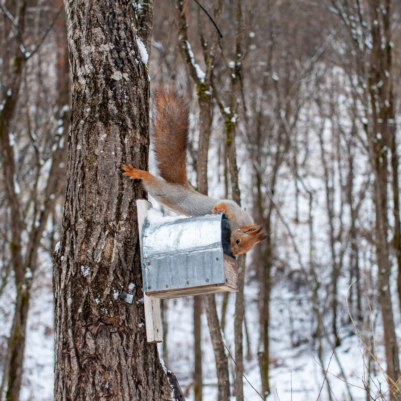 Что там у нас?