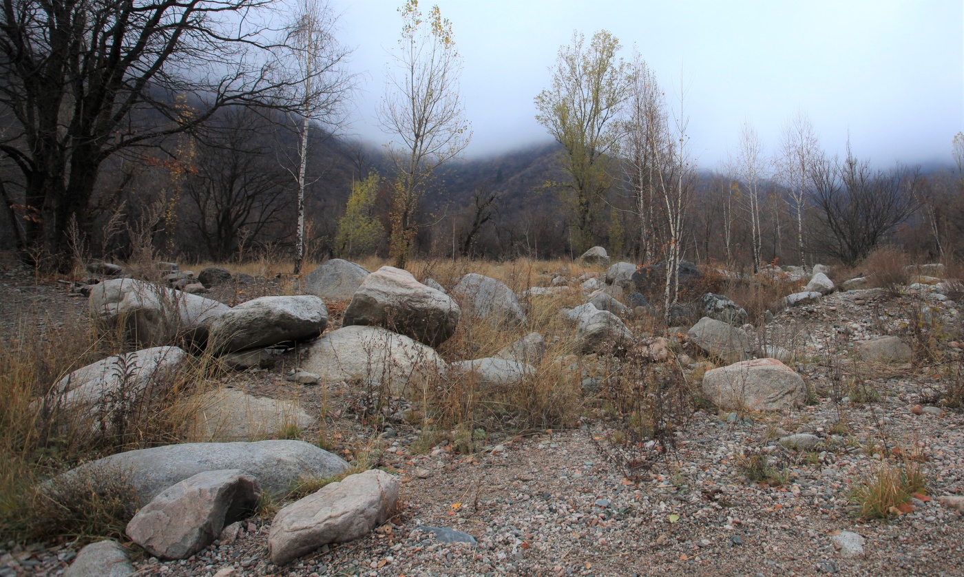 Унылая пора ...