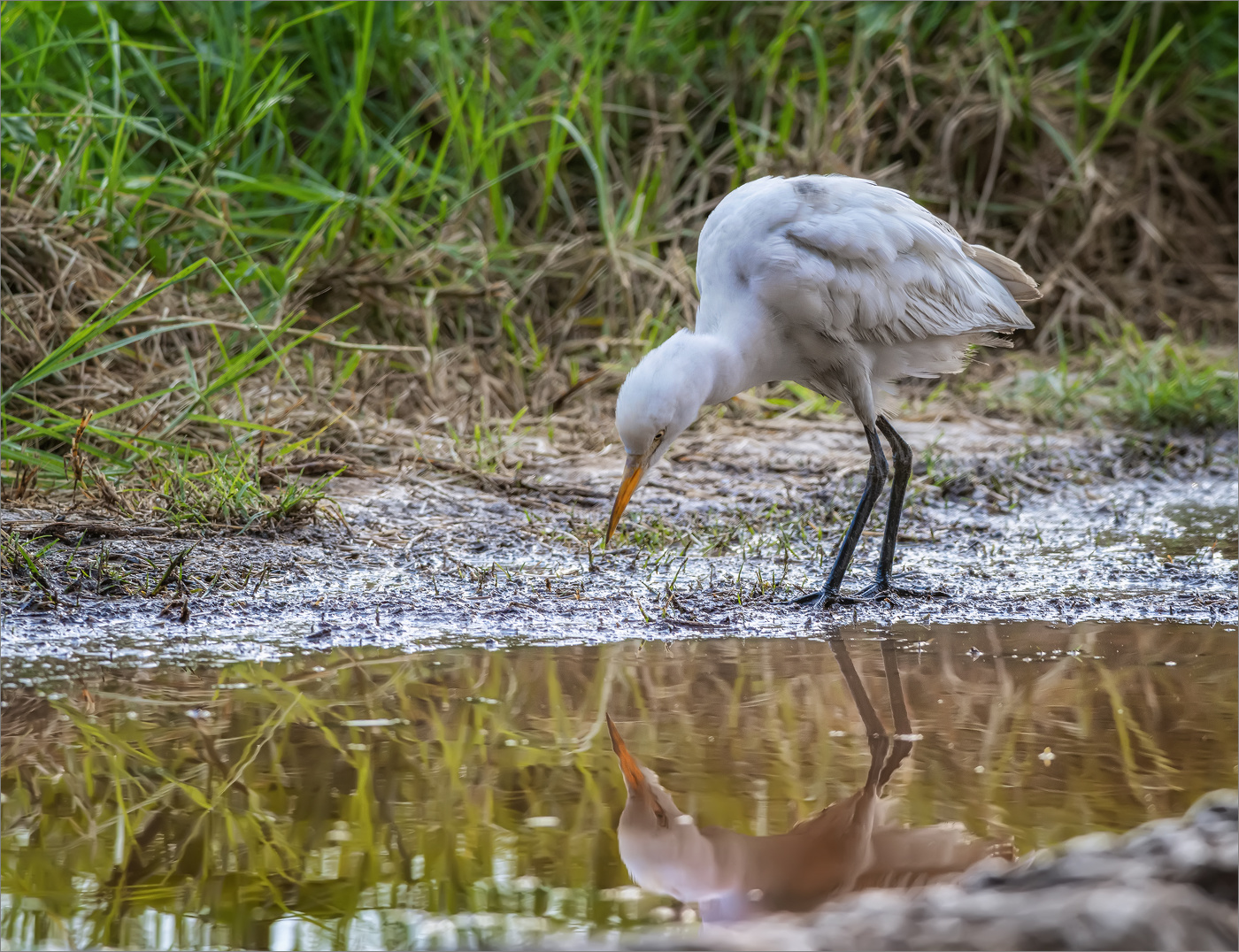 После дождя