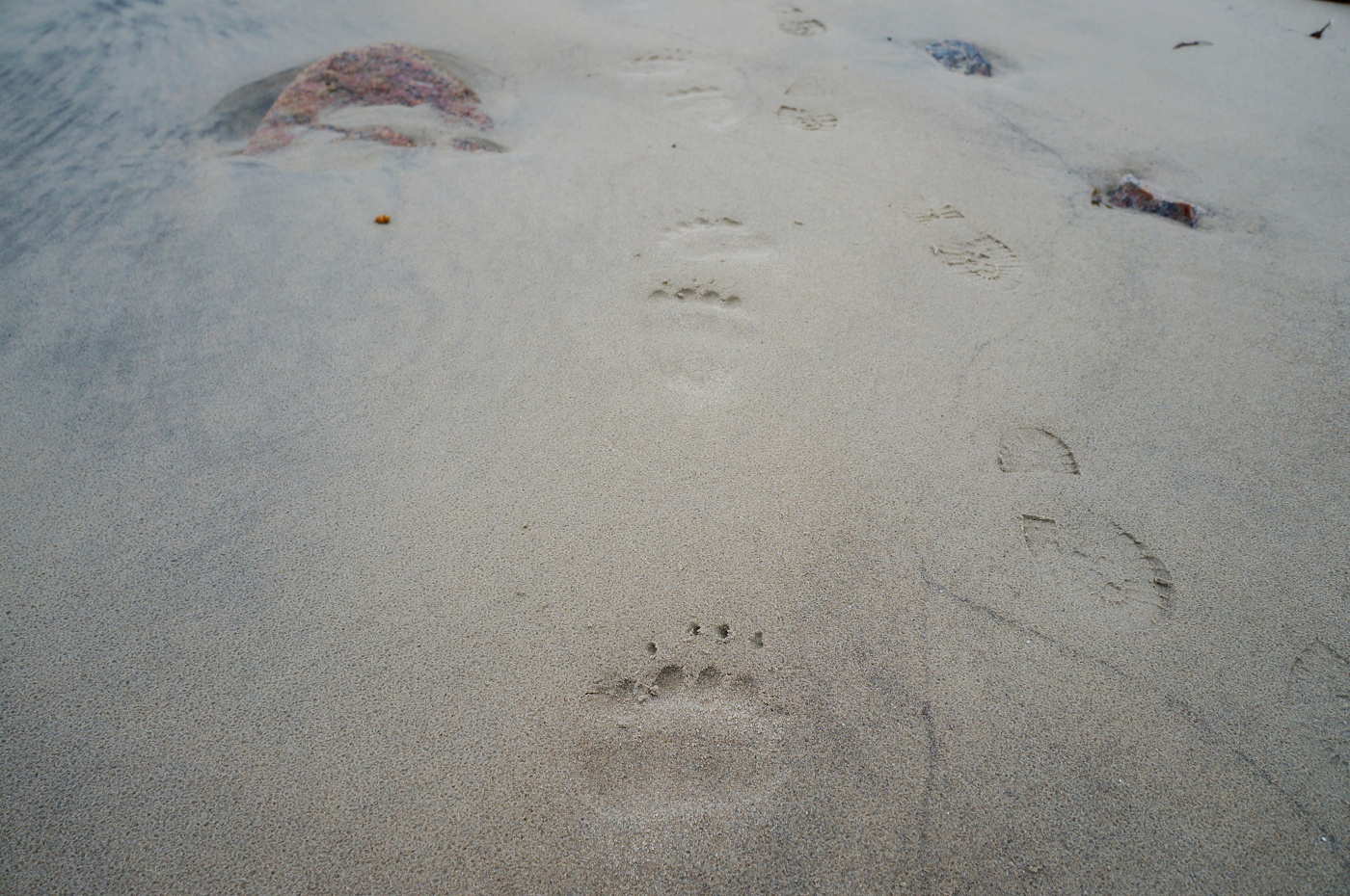 Удачный ход событий